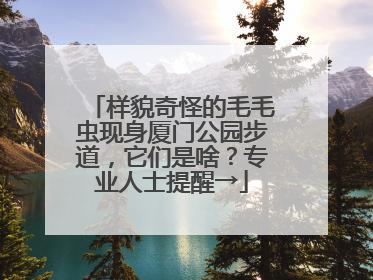 样貌奇怪的毛毛虫现身厦门公园步道，它们是啥？专业人士提醒→
