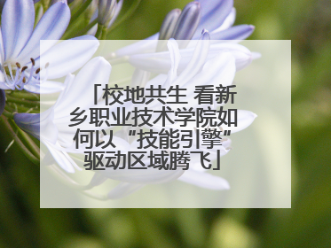 校地共生 看新乡职业技术学院如何以“技能引擎”驱动区域腾飞