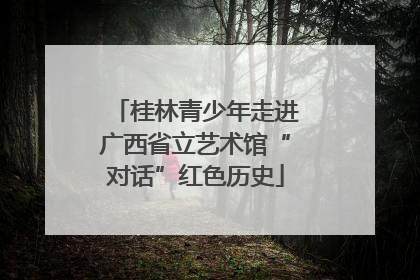 桂林青少年走进广西省立艺术馆“对话”红色历史