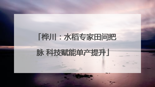 桦川：水稻专家田间把脉 科技赋能单产提升