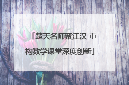 楚天名师聚江汉 重构数学课堂深度创新