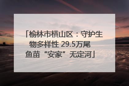 榆林市横山区：守护生物多样性 29.5万尾鱼苗“安家”无定河