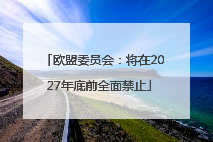 欧盟委员会：将在2027年底前全面禁止