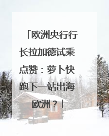 欧洲央行行长拉加德试乘点赞：萝卜快跑下一站出海欧洲？