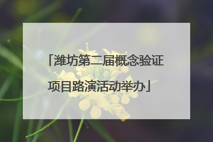 潍坊第二届概念验证项目路演活动举办