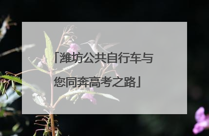 潍坊公共自行车与您同奔高考之路