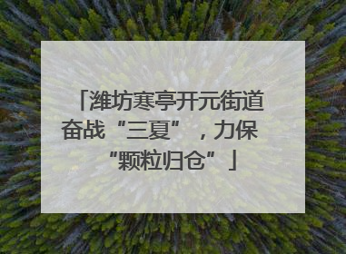 潍坊寒亭开元街道奋战“三夏”，力保“颗粒归仓”