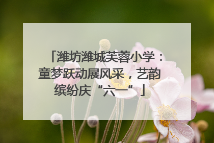 潍坊潍城芙蓉小学：童梦跃动展风采，艺韵缤纷庆“六一”