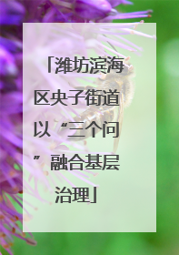 潍坊滨海区央子街道以“三个问”融合基层治理