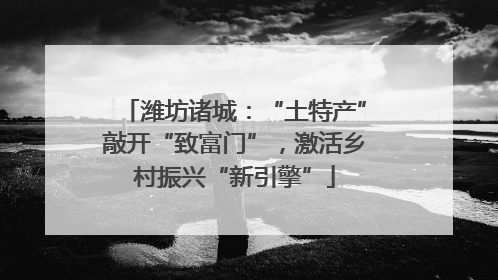 潍坊诸城：“土特产”敲开“致富门”，激活乡村振兴“新引擎”