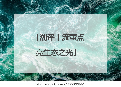 潮评丨流萤点亮生态之光