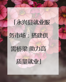 永兴县就业服务市场：搭建供需桥梁 助力高质量就业