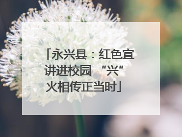 永兴县：红色宣讲进校园 “兴”火相传正当时