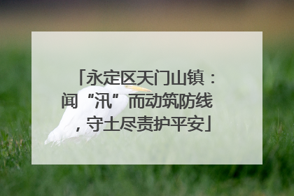永定区天门山镇：闻“汛”而动筑防线，守土尽责护平安