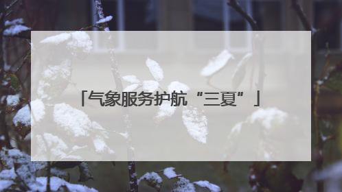 气象服务护航“三夏”