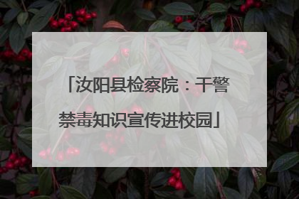 汝阳县检察院：干警禁毒知识宣传进校园