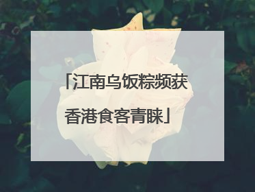 江南乌饭粽频获香港食客青睐