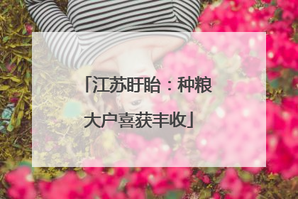 江苏盱眙：种粮大户喜获丰收