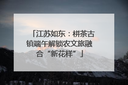 江苏如东：栟茶古镇端午解锁农文旅融合“新花样”