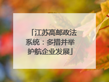 江苏高邮政法系统：多措并举护航企业发展