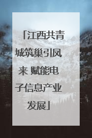 江西共青城筑巢引凤来 赋能电子信息产业发展