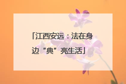 江西安远：法在身边“典”亮生活