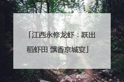 江西永修龙虾：跃出稻虾田 飘香京城宴