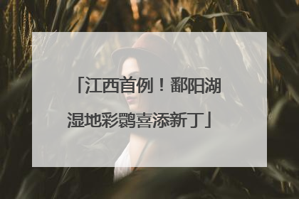 江西首例！鄱阳湖湿地彩鹮喜添新丁