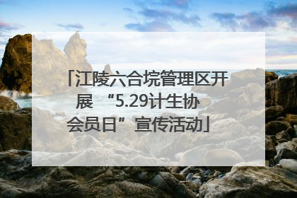 江陵六合垸管理区开展 “5.29计生协会员日”宣传活动