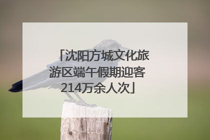 沈阳方城文化旅游区端午假期迎客214万余人次