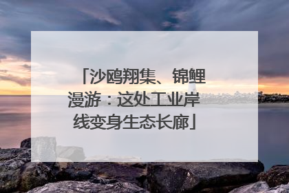 沙鸥翔集、锦鲤漫游：这处工业岸线变身生态长廊