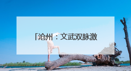 沧州：文武双脉激活“双遗之城”高质量发展新样本