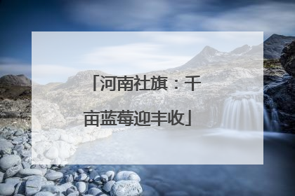 河南社旗：千亩蓝莓迎丰收