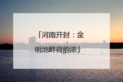 河南开封：金明池畔荷韵浓