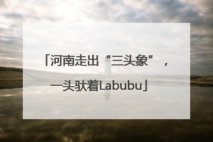 河南走出“三头象”，一头驮着Labubu