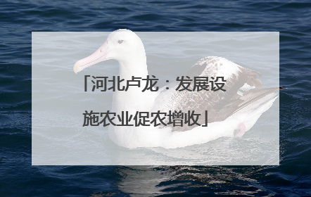 河北卢龙：发展设施农业促农增收