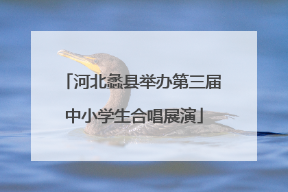 河北蠡县举办第三届中小学生合唱展演