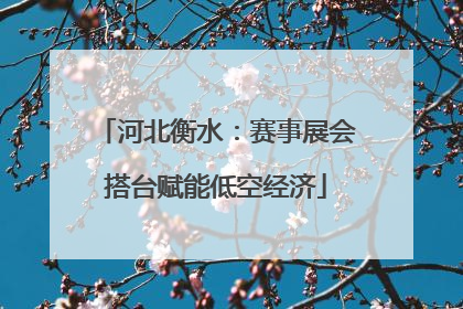 河北衡水：赛事展会搭台赋能低空经济