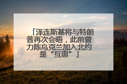 泽连斯基将与特朗普再次会晤，此前曾力陈乌克兰加入北约是“互惠”