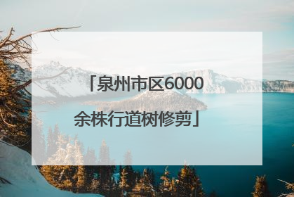 泉州市区6000余株行道树修剪
