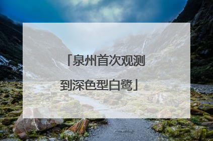 泉州首次观测到深色型白鹭