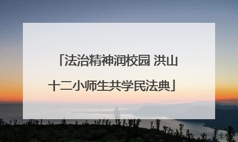 法治精神润校园 洪山十二小师生共学民法典