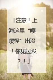 注意！上海这里“嘤嘤怪”出没！你见过没？！