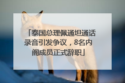 泰国总理佩通坦通话录音引发争议，8名内阁成员正式辞职