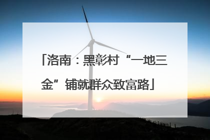 洛南：黑彰村“一地三金”铺就群众致富路