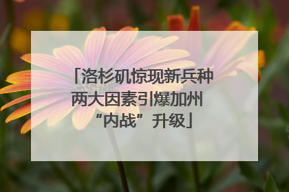 洛杉矶惊现新兵种 两大因素引爆加州“内战”升级