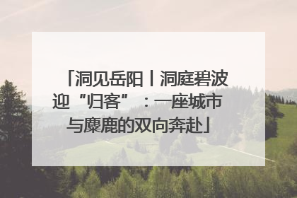洞见岳阳丨洞庭碧波迎“归客”：一座城市与麋鹿的双向奔赴