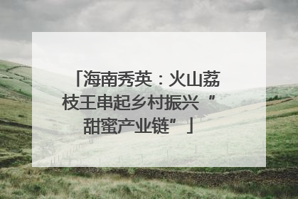 海南秀英：火山荔枝王串起乡村振兴“甜蜜产业链”