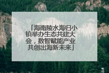 海南陵水海归小镇举办生态共建大会，数智赋能产业共创出海新未来