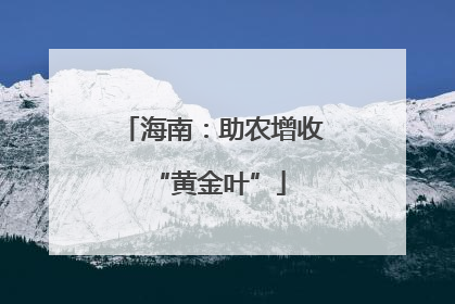 海南：助农增收 “黄金叶”
